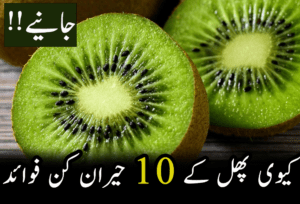 kiwi feature image