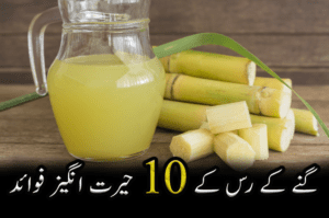 sugercane feature iamge