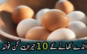 eggs feature